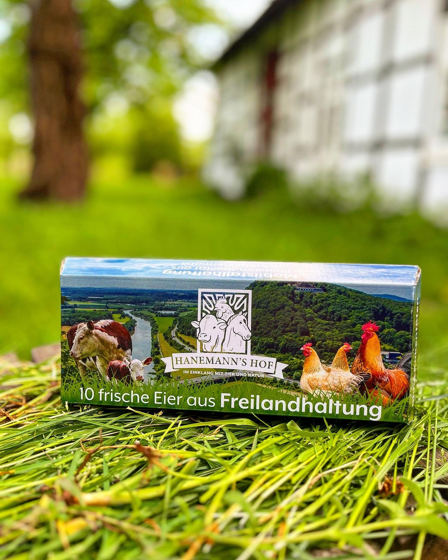 Hühnereier aus Freilandhaltung