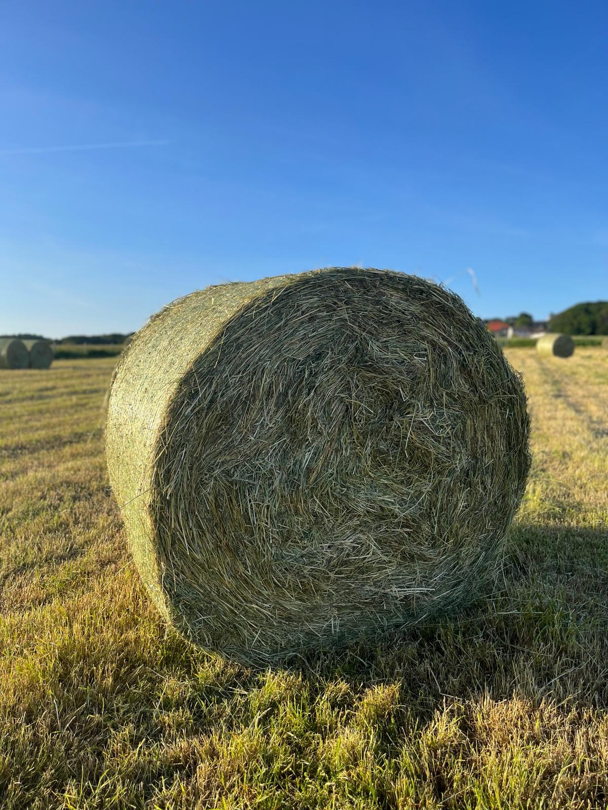 Heu Rundballen
